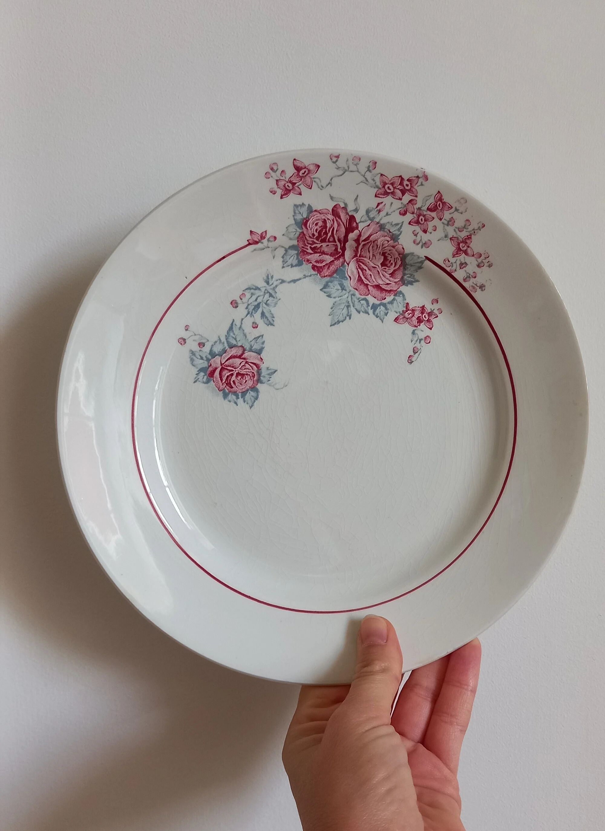 "Thalie" - 6 flat plates ironstone Saint-Amand