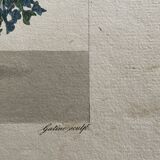 Board of the diary of ladies and fashions 1827