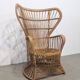 Fauteuil Peaock Rohé Noordwolde