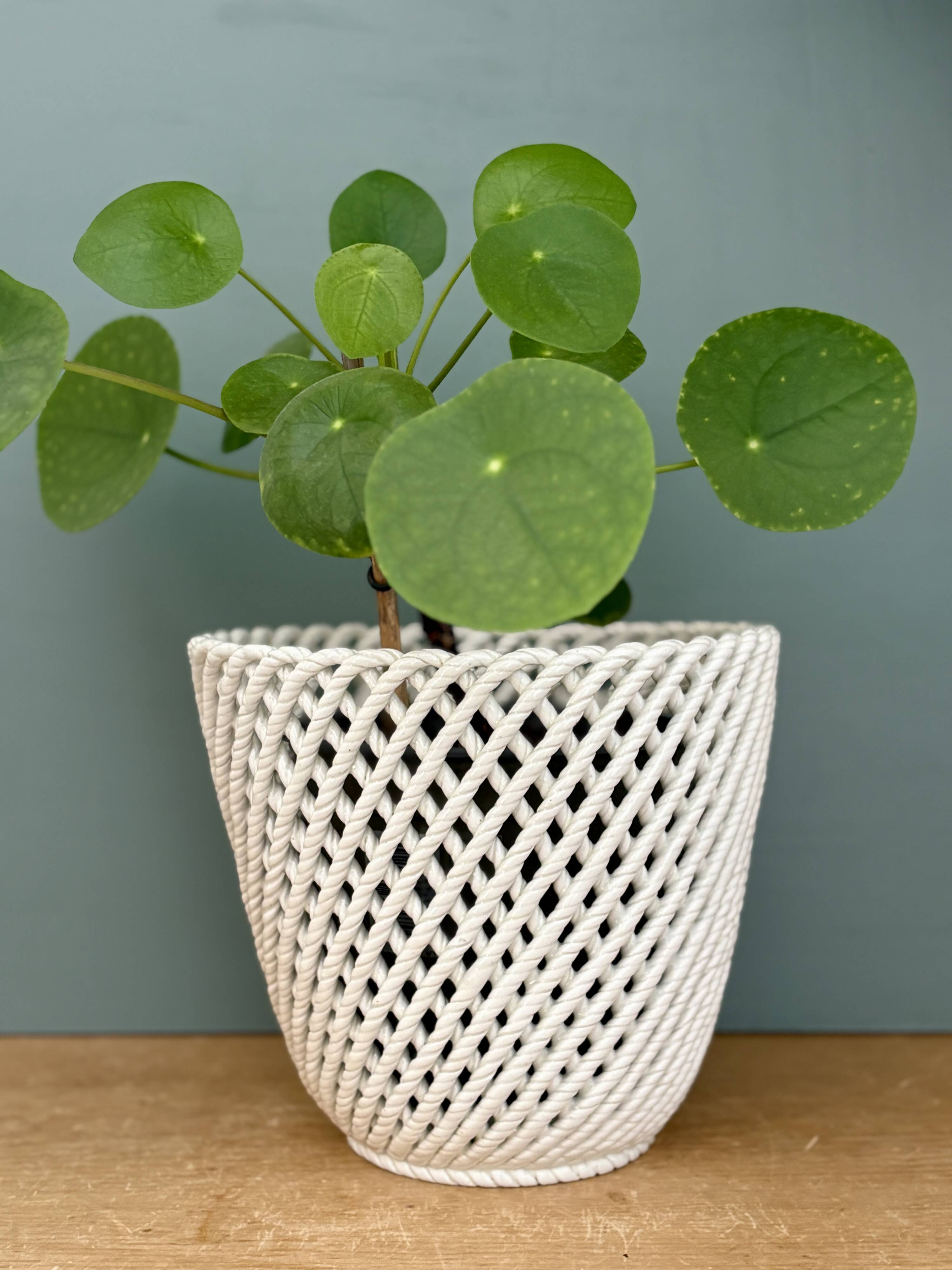 Vintage woven ceramic plant pot