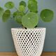 Vintage woven ceramic plant pot