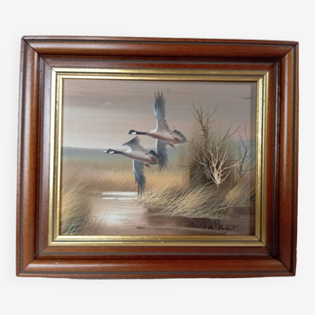 Huile sur toile encadrement bois envol de canards, nature, signé C. Walker