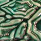 Old small empty dish enamelled copper pocket