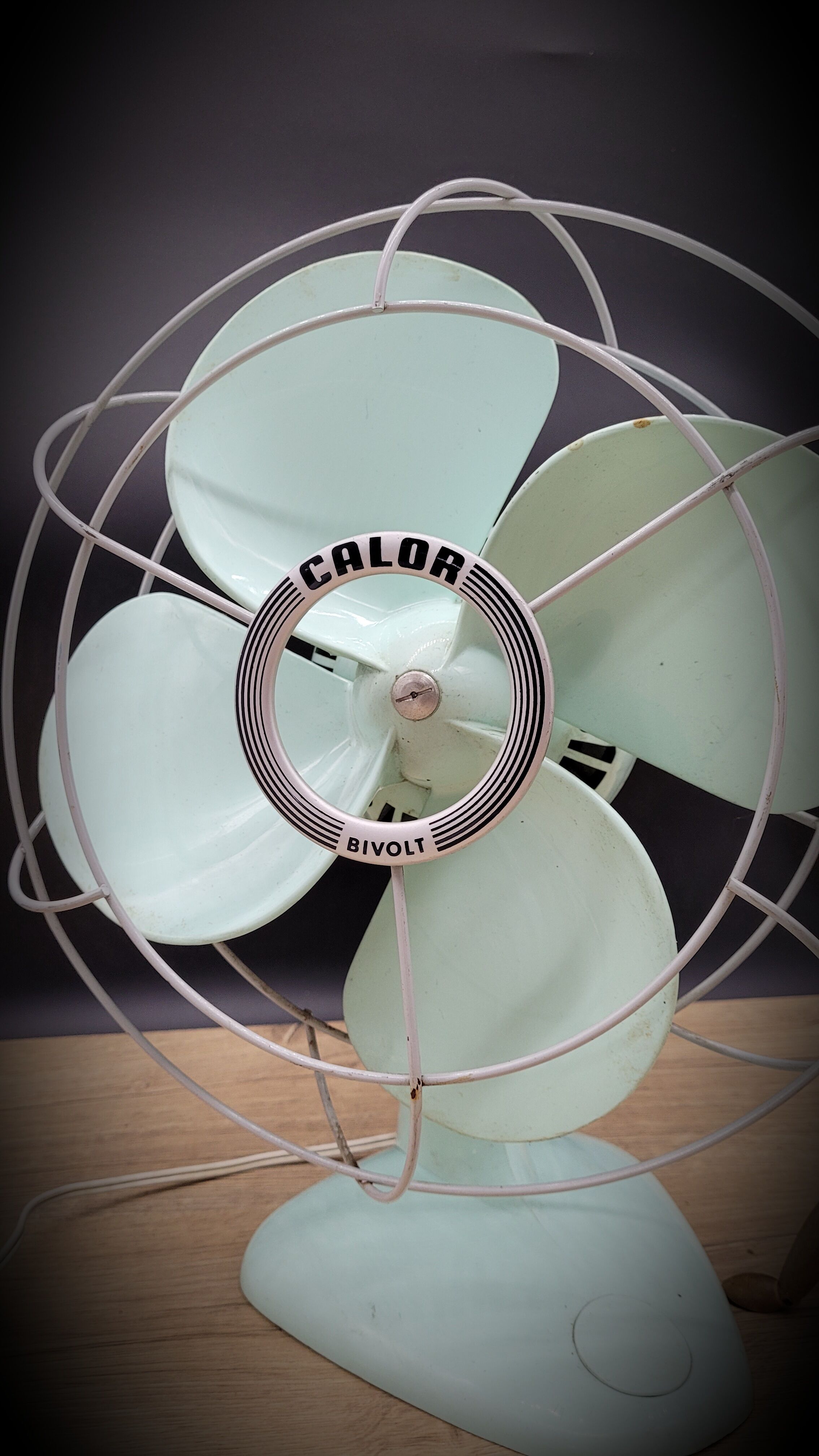 Calor 60s fan