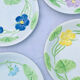 Lot of Gien plates