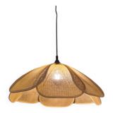 Cane suspension