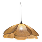 Cane suspension