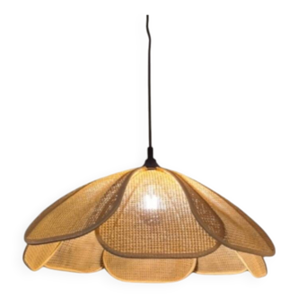 Cane suspension