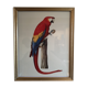 Board ornithological
