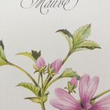 La Mauve botanical plank