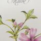 La Mauve botanical plank