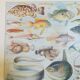 Lithographie sur les poissons de 1928