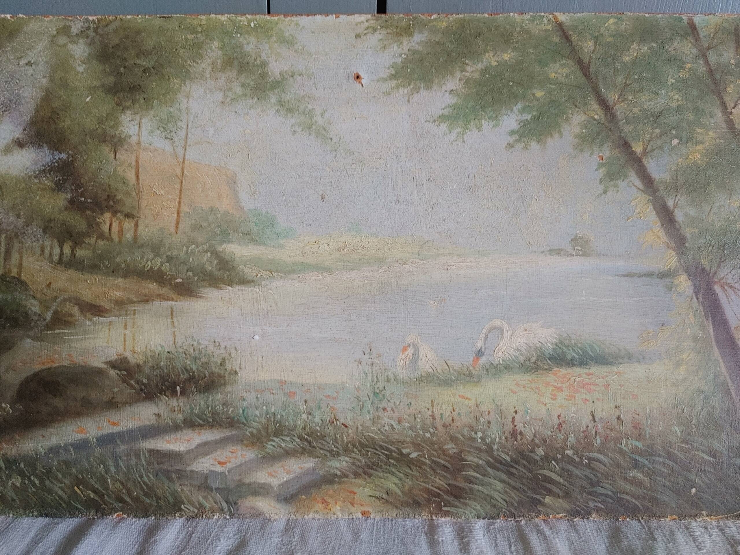 Old oil on rigid cardboard depicting swans on the water