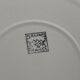 11 Salins flat plates