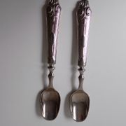 2 teaspoons silver metal