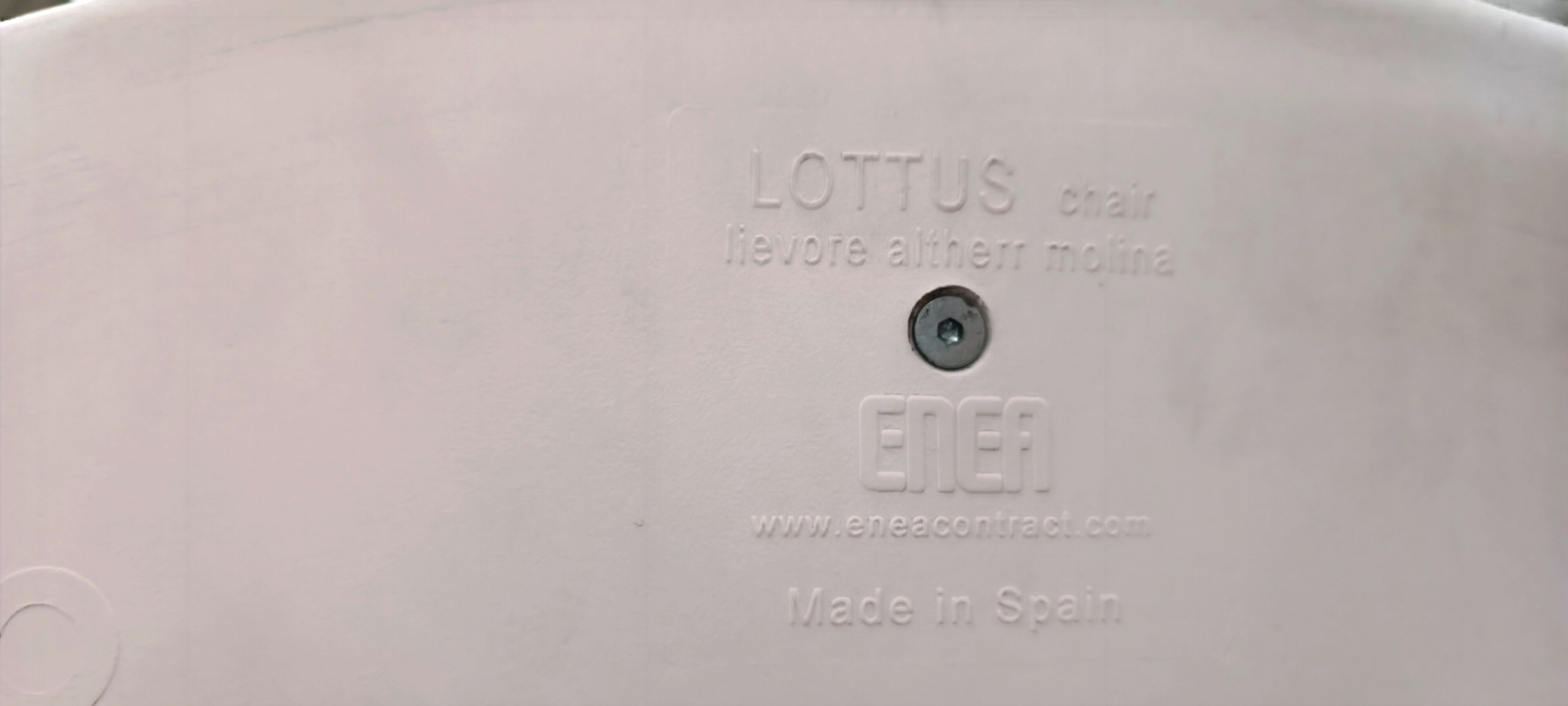 Chair Lottus Spin, Enea