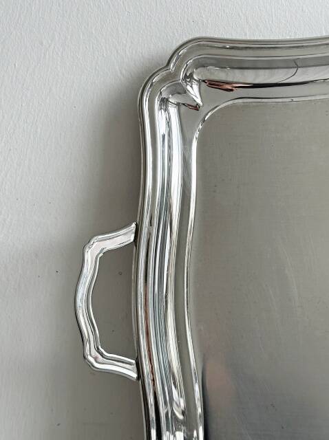 Stainless steel serving trays