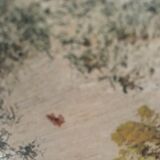 Landscape autumn at dusk