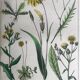 19th 32x42 botanical plank