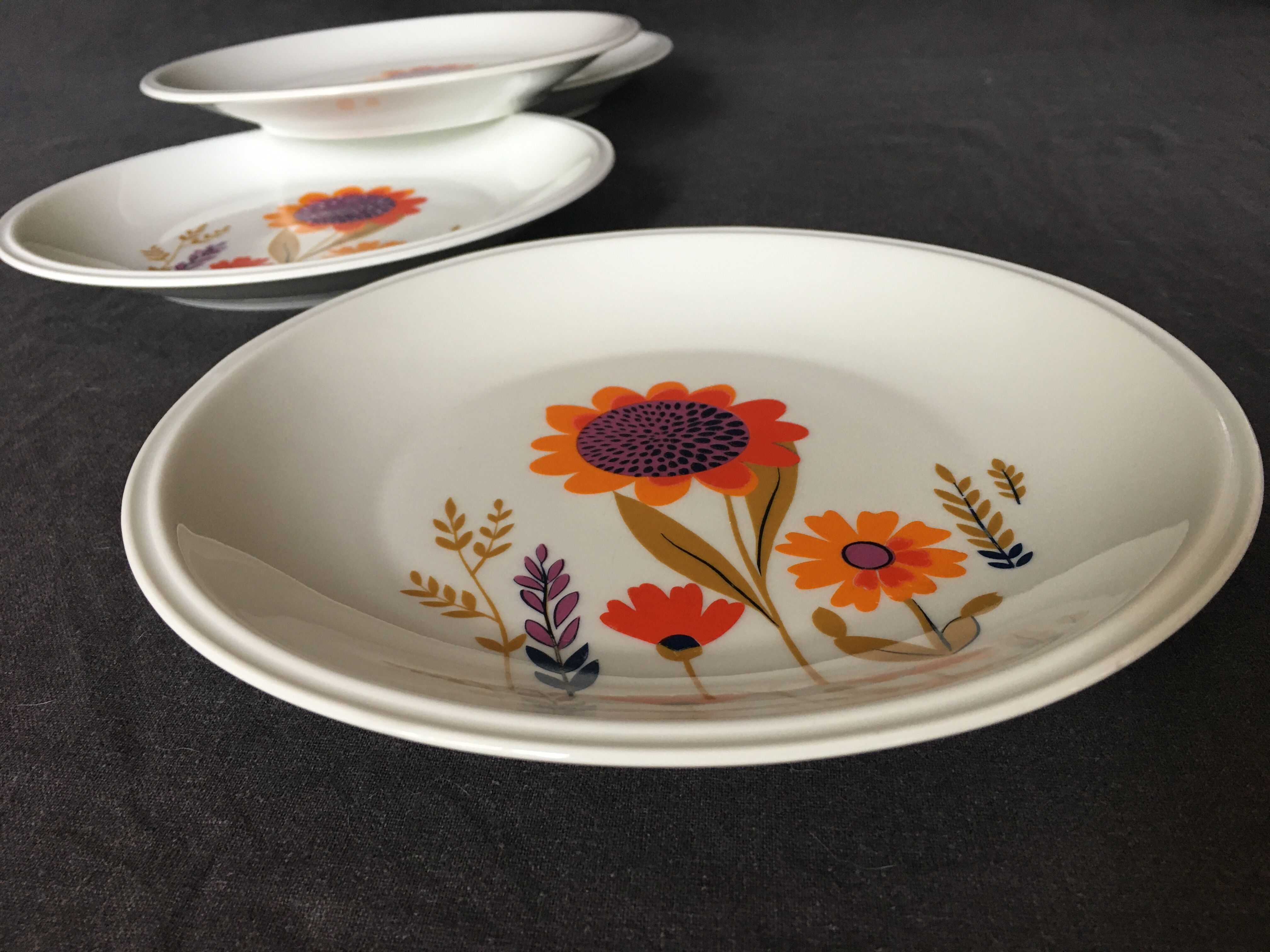 Sologne Porcelain Pop Flat Plates
