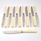 Lot de 12 couteaux vintage en résine ivoire par louis springer strasbourg 19.5cm