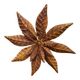 spinning flower, iron windmill