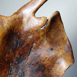 Large monoxyle bowl made of dark raw olive wood from the 1950s.