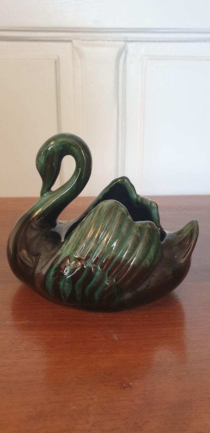 Empty pocket swan canada