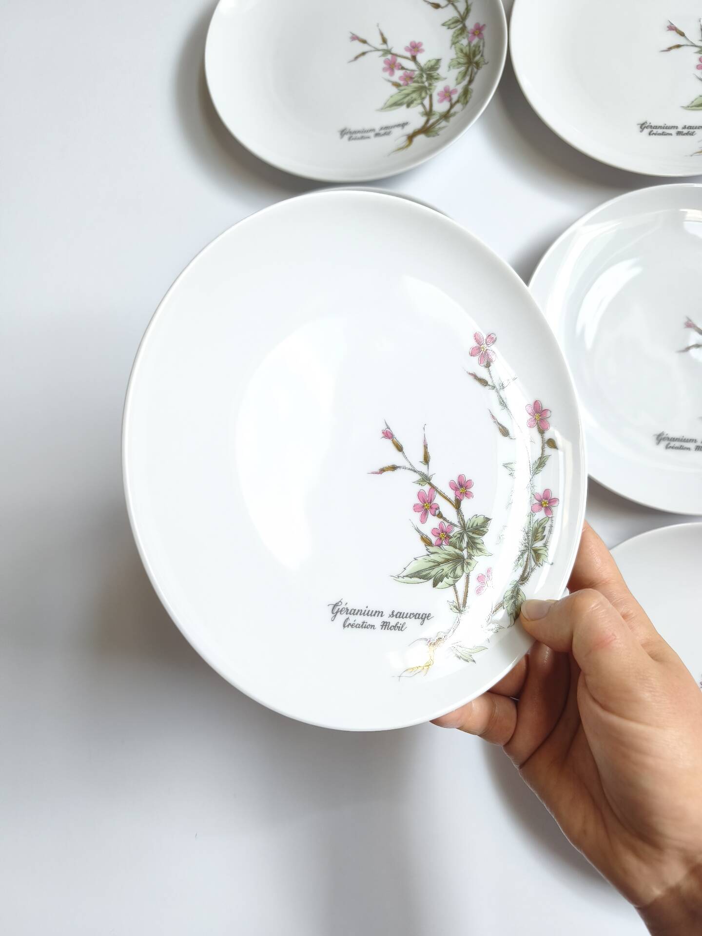 Lot de 6 assiettes à dessert de Bavière mobil décor fleurs roses