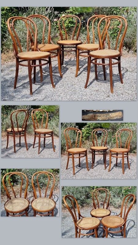 8 bistro chairs n°14 and n°18 in curved wood early twentieth century