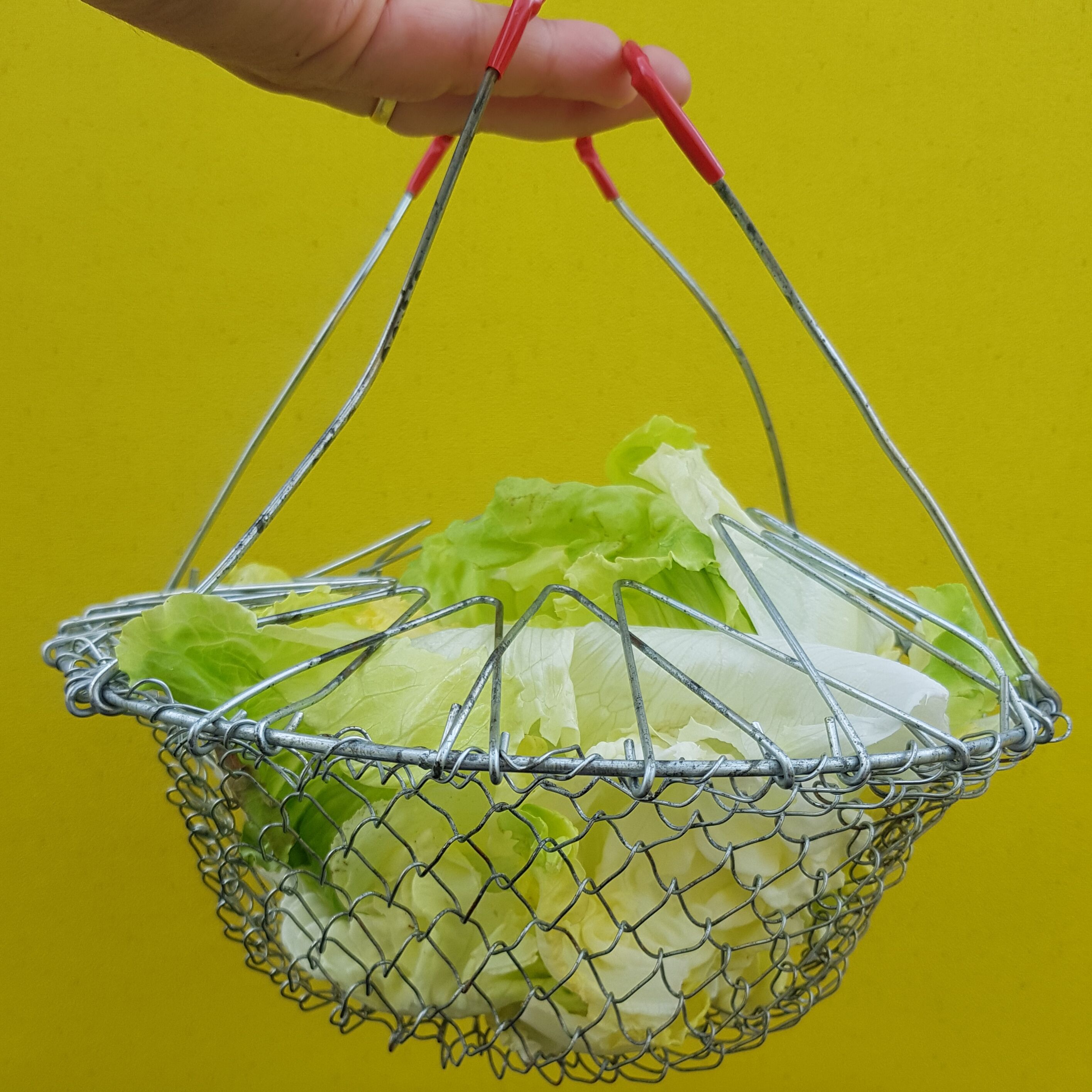 Old folding salad basket