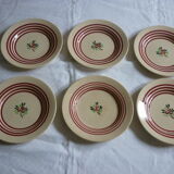 6 setting fruit gien earthenware dessert plates