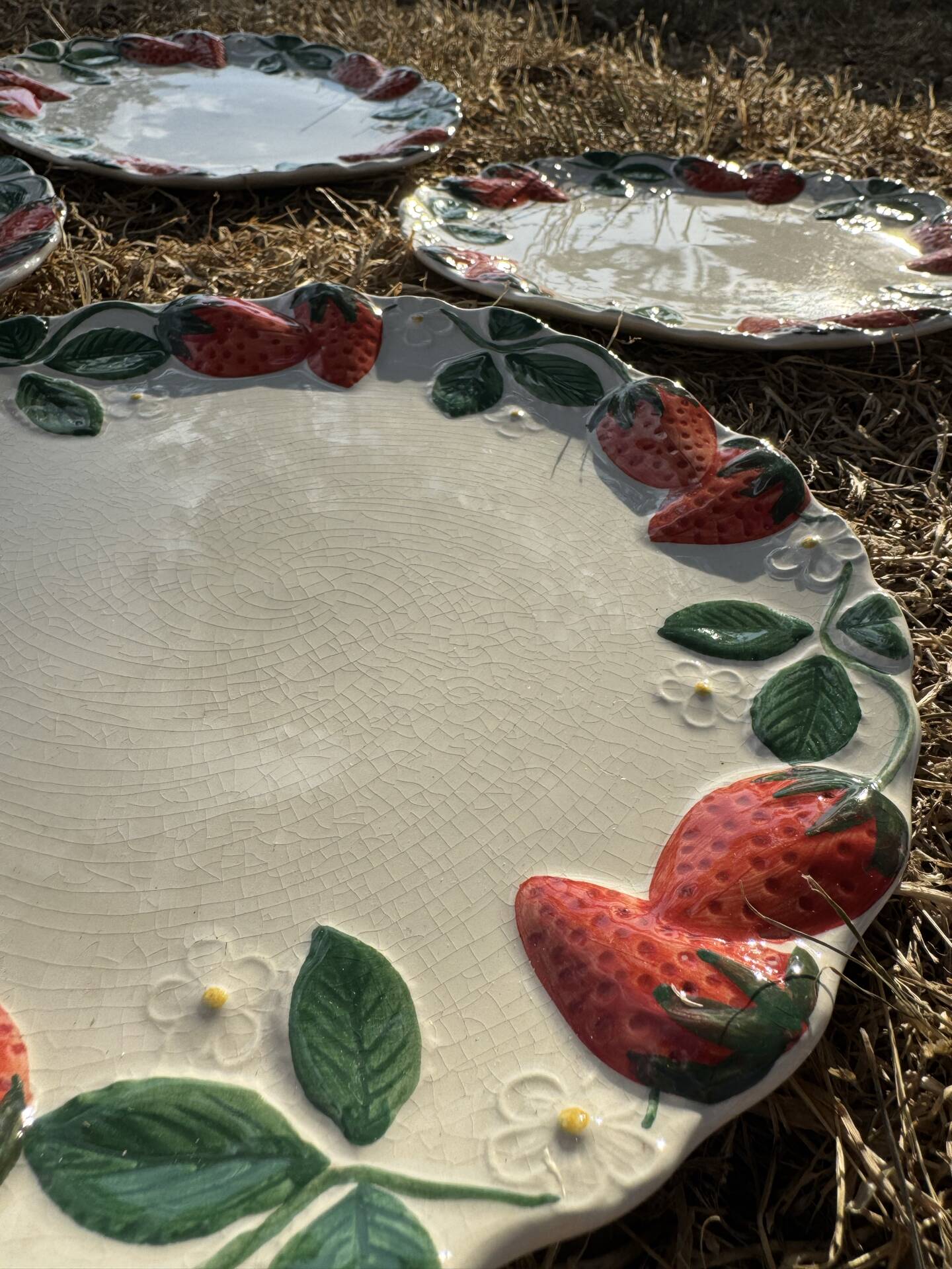 Longchamp antique strawberry barbotine plates