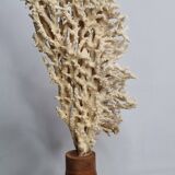 Antique natural coral on turned wooden base, 38 cm