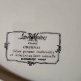 Plat Sarreguemines obernai