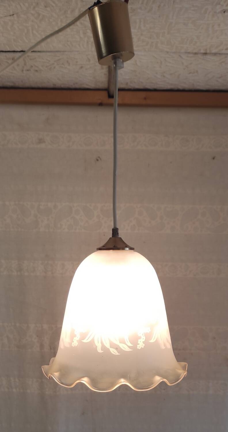 Suspension style Art Nouveau glass globe with screen-printed floral pattern.