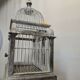 Iron and wood bird cage
