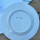 Assiette porcelaine décor fleurs bleues
