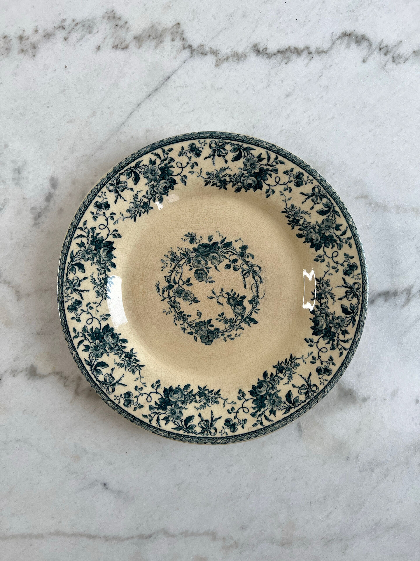 5 ironstone plates GIEN 21cm