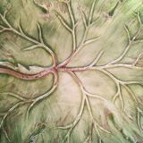 4 plates dabbling 70s