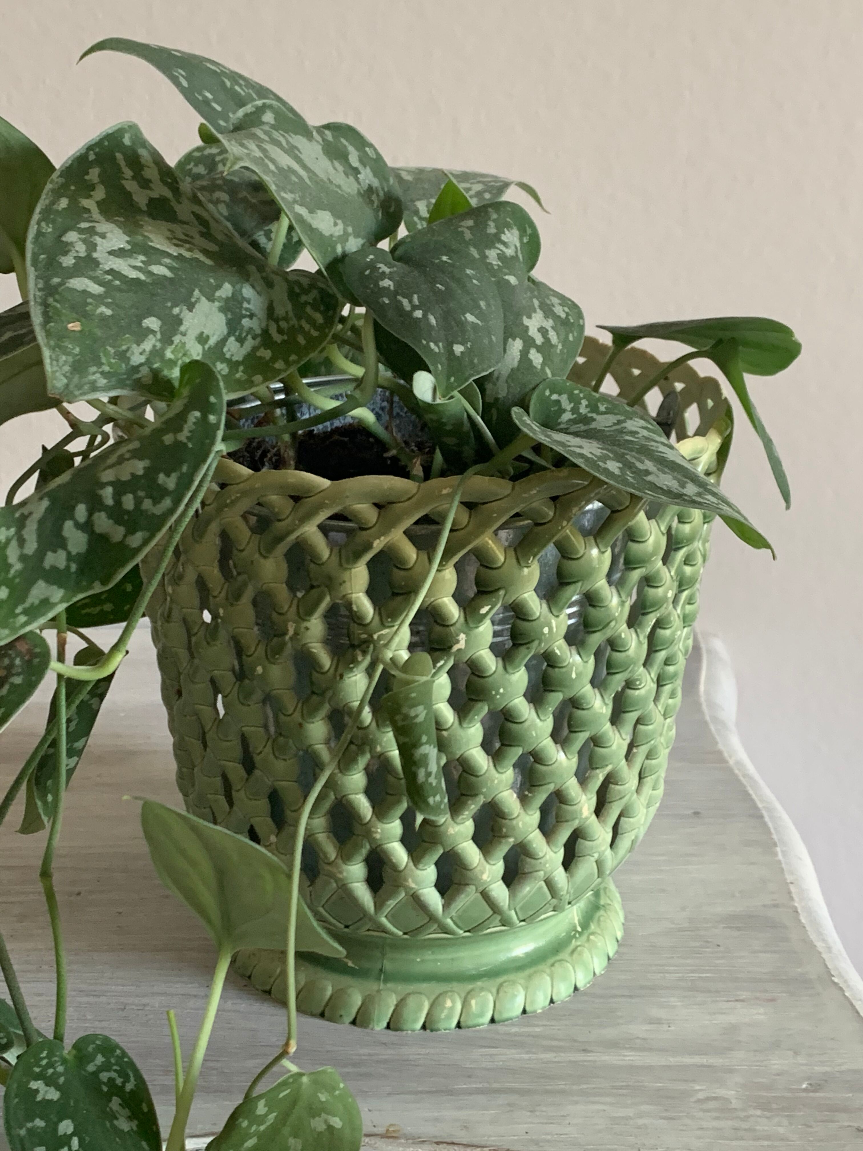 Vintage Syla pot cache