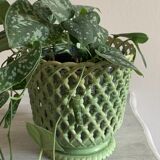 Vintage Syla pot cache