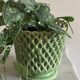 Vintage Syla pot cache