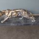 Lioness sculpture art deco