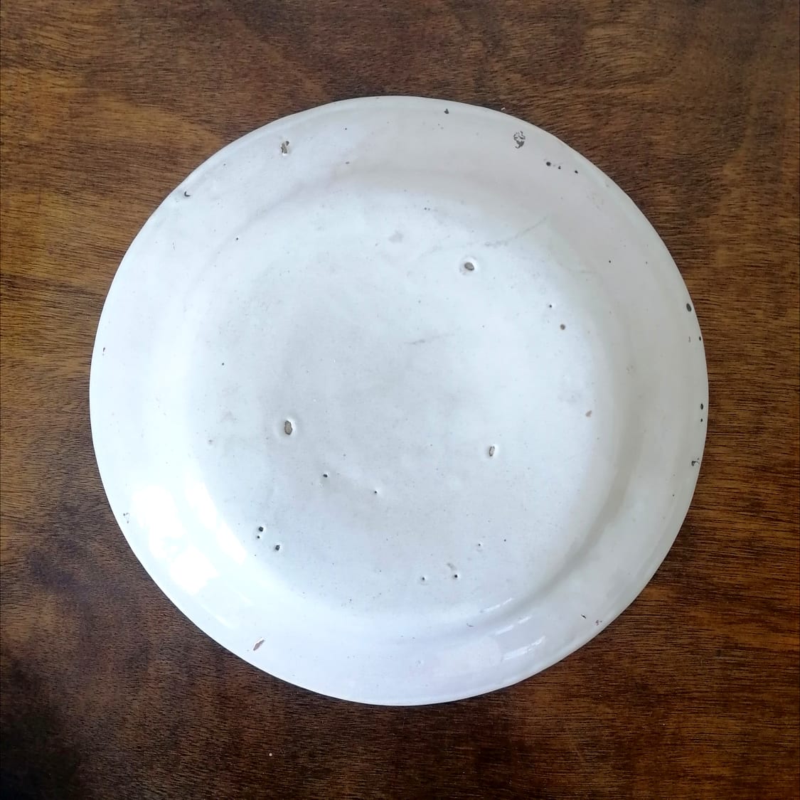 Pair of earthenware plates Les Islettes XIXth century