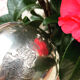Antique silver sweetener with rolling lid