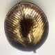 Stylised and signed glazed ceramic salad bowl, France circa 1970.