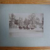 Photographie ancienne 1900 carriole cocher et chevaux