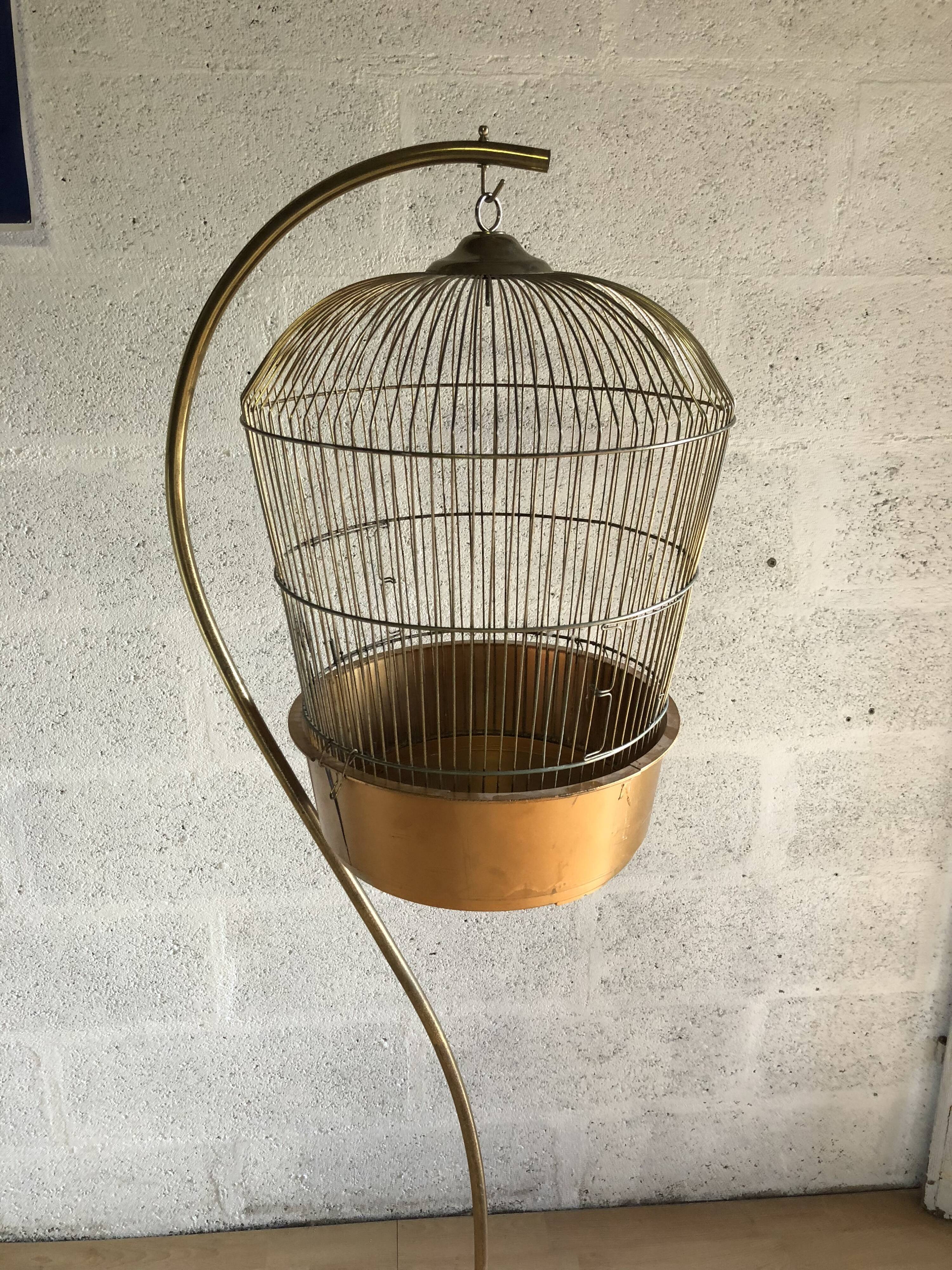 Cage suspended for decoration, plant vintage