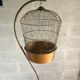 Cage suspended for decoration, plant vintage
